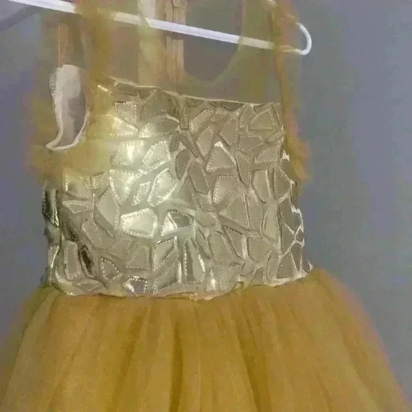 Gold princess  dress - Picture 3 of 6